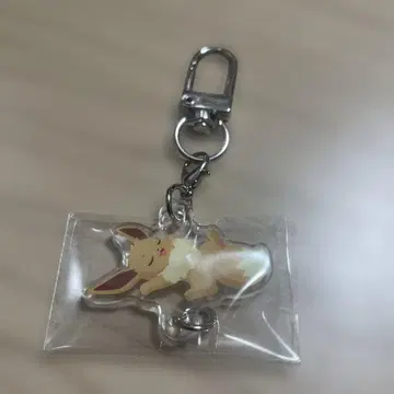포켓몬 슬립 이브이