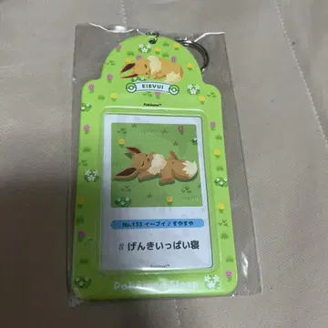 포켓몬 슬립 이브이 카드 케이스