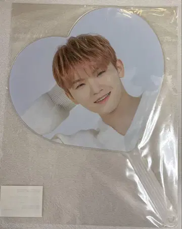 SEVENTEEN 세부치 우지 부채 Caratland
