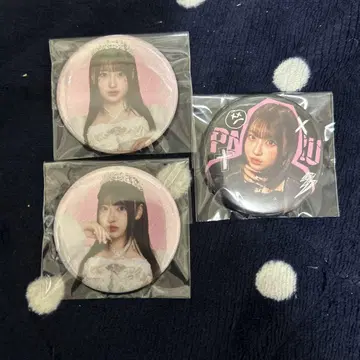 사쿠라바 하야카 캔 배치