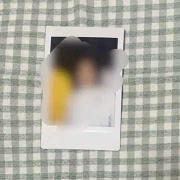금붕어 반장 후루이치 폴라로이드