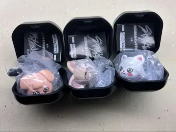skzoo 푹신한 반지 3개 세트