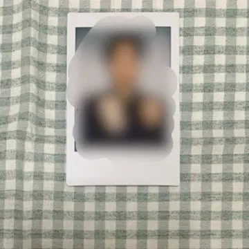 금붕어 반장 미노와 폴라로이드