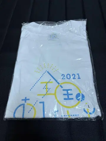히나타자카46 전국 투어 2021 전국 오히사마화 계획 티셔츠