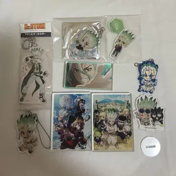 Dr.STONE 석신 천공 요약