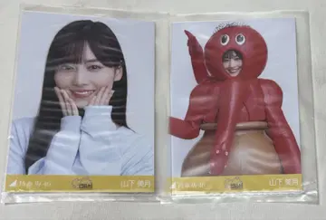 야마시타 미즈키 시크릿 브로마이드 노기코레