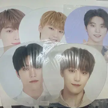 SEVENTEEN 디노 부채 세트