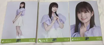오가와 아야 안다라 시어 탑 브로마이드 컴프