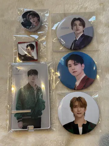 SEVENTEEN 조슈아 지스 JOSHUA 캔뱃지 제일복권
