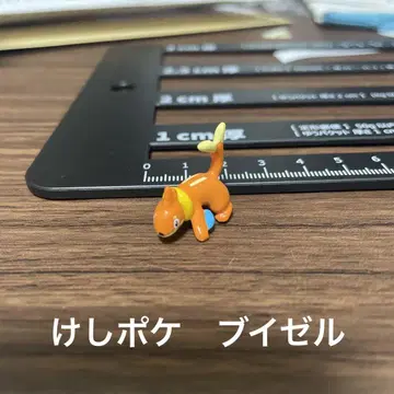 케시 포케 부이젤