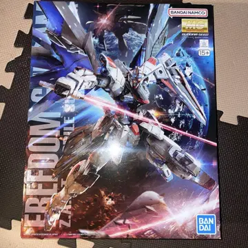 MG 1/100 프리덤 건담 Ver.2.0
