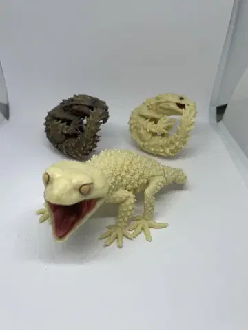 생물 대도감 가챠