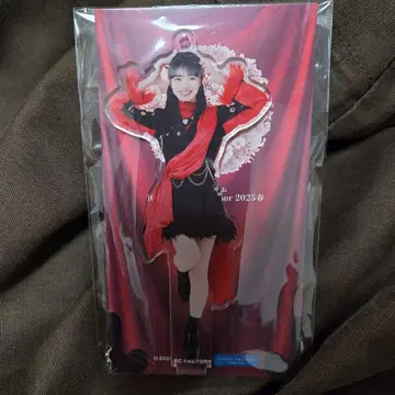 솔로 아크릴 키링