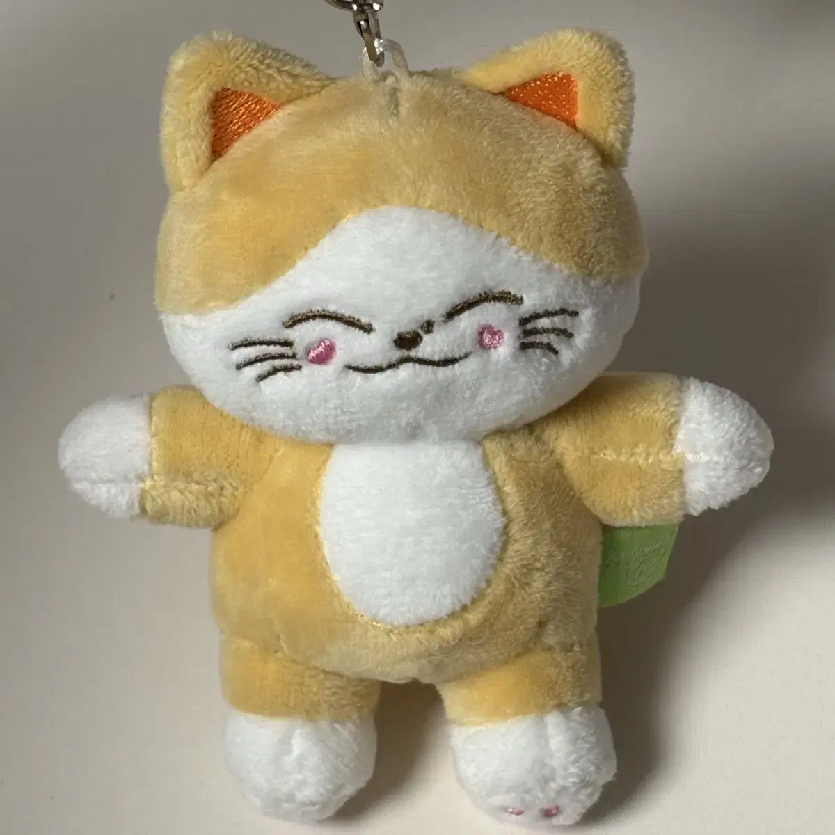 ONF ONKKOMIZ ぬいぐるみ KKYUNDoongi Shipping Included] onf Onkkomies Kkyunnyangi poca O on