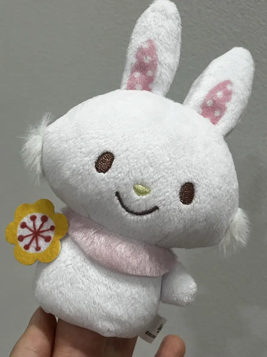 Product Details - 1
