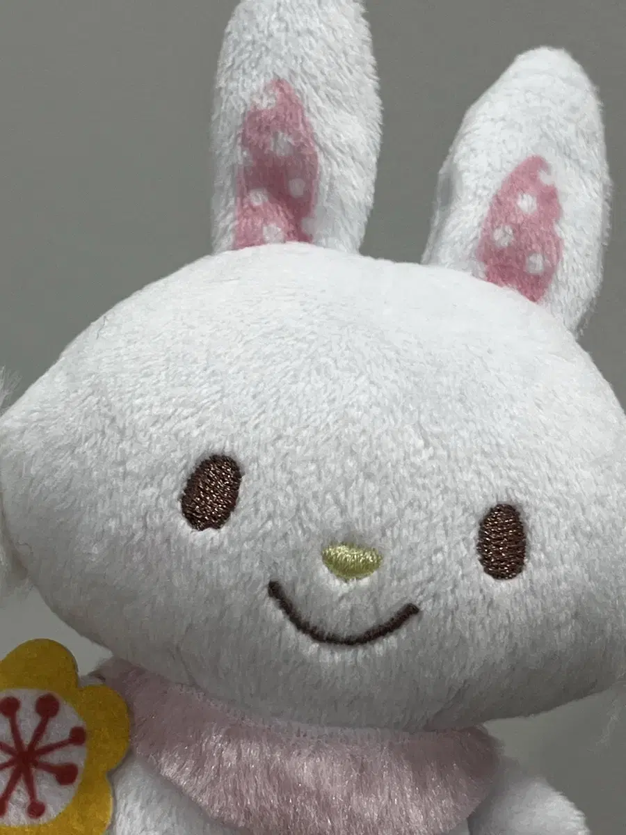 Product Details - 5