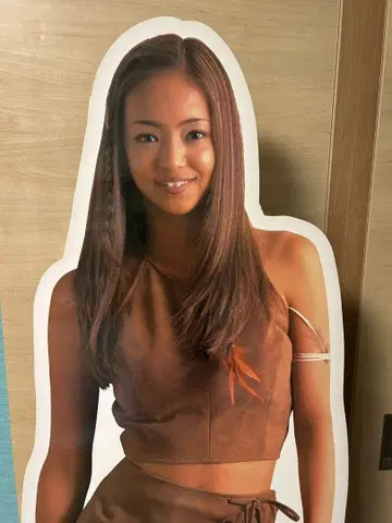 아무로 나미에 등신대 패널