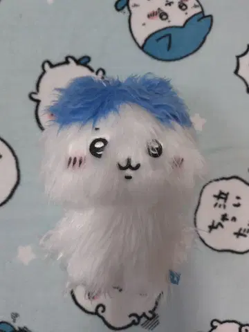 치이카와 (먼작귀) 털이 많아진 하치와레 인형