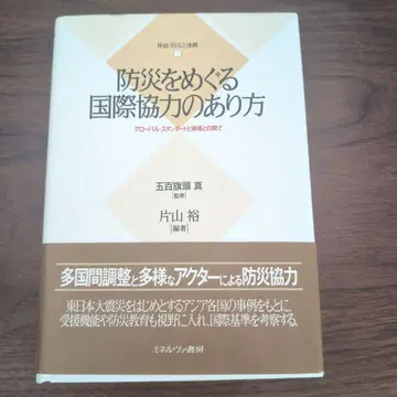 방재에 관한 국제협력의 방향, 글로벌 스탠다드와 현장의 실태