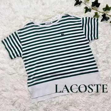 라코스테 LACOSTE 티셔츠 36 코튼 100% 일본제