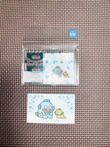 문구와 함께 새끼 고양이 & 한교동