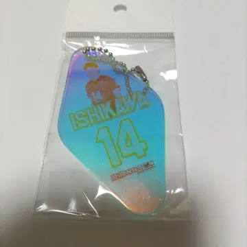 미개봉 이시카와 유키 모텔 키링 14 용신 nippon 남자 밸리