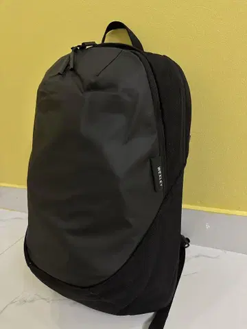 웨즐리 셸드레이크 22L 카본 블랙