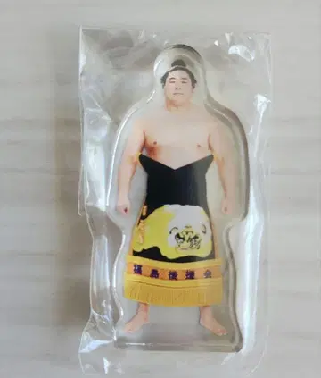 와카모토 하루 스모 선수 아크릴 스탠드