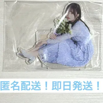 사토 리카 노기메쿠리 S상 한여름의 전국 투어 2025