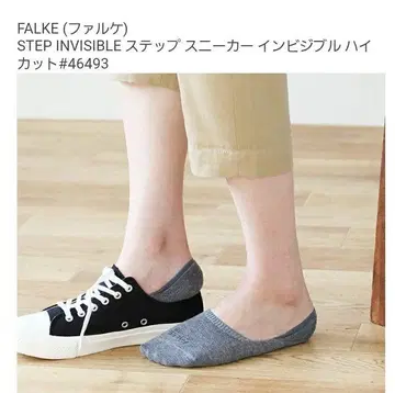 팔케 스텝 인비저블