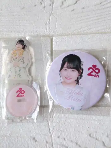 AKB48 'AKB48의 날' 헝겊 가방 아크릴 스탠드 캔뱃지