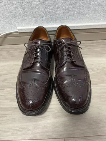 알든 975 버건디 11 코도반