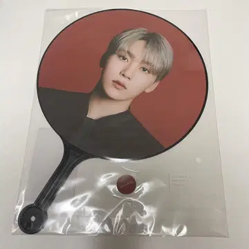 SEVENTEEN 승광 power of love 부채
