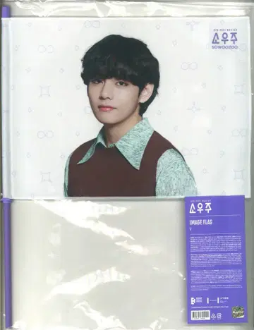BTS V 2021 머스터 소우주 이미지 플래그