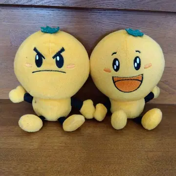 제약회사 미카루디스 나쁜 귤 좋은 귤 2개 세트