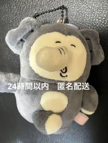 치이카와 아쿠무노 조우
