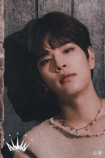 Stray Kids Seungmin ALL IN 온라인 복권 스티커 E상