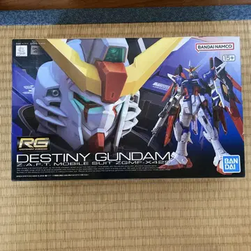 RG 데스티니 건담 미조립