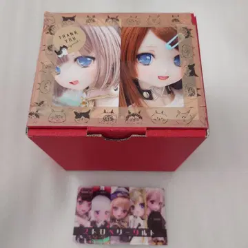 딜러 제작 커스텀 헤드 세미 화이트 MDD 돌피드림