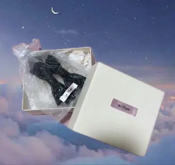 the Virgins 리본형 블랙 헤어핀 2개 세트
