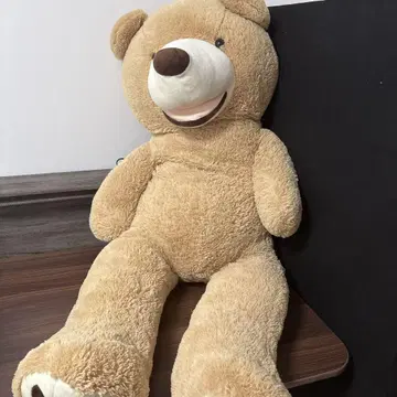 오늘만 코스트코 곰 봉제 인형