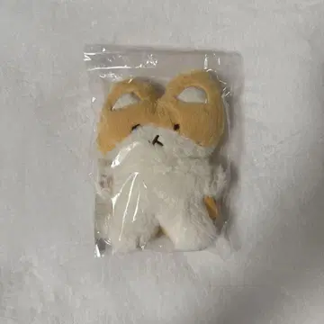 토레기 베킹 baekhyun 봉제 인형 마그넷