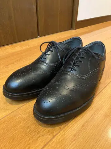 레드윙 8701 81/2 D