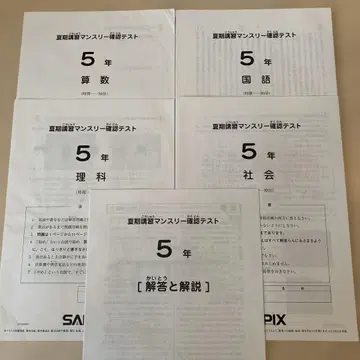 SAPIX 5년 여름 강좌 월별 확인 테스트