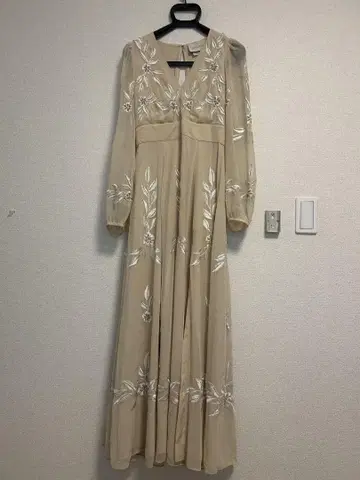 BHLDN 드레스
