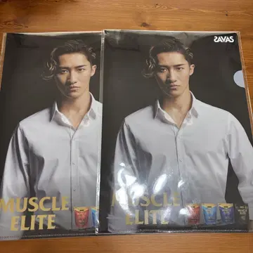 SAVAS MUSCLE ELITE 클리어 파일 이와모토 테루 2장 세트