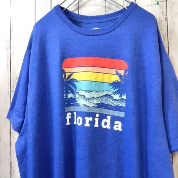 HOME Free florida 빅 사이즈 티셔츠 블루 2XL 구제 의류