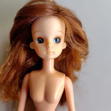 리카짱 인형 본체 브라운 헤어