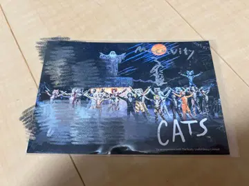 극단 사계절 CATS 엽서 사인