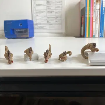 고질라 가마타 군 5개 세트